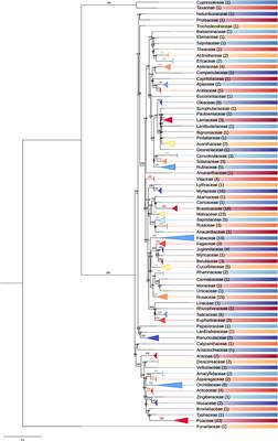 SPLACE: A tool to automatically SPLit, Align, and ConcatenatE genes for phylogenomic inference of several organisms